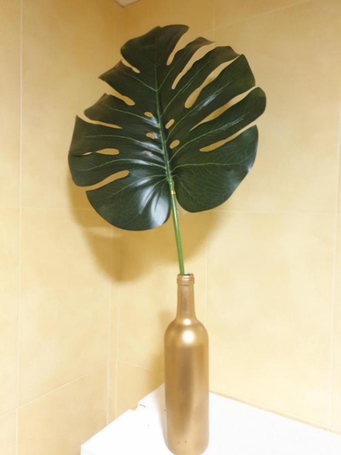Apartamento San Juan 1 木尔西亚 外观 照片